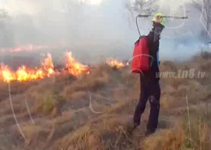 Conductor provoca quema de varias manzanas de potrero en Boaco - TN8.tv