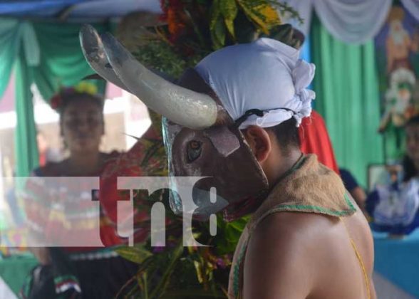 La Familia Toribio Anuncia El Regreso Del Torovenado El Malinche A Las