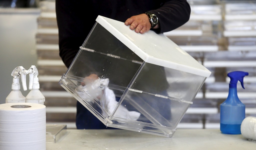 Un empleado limpiando una urna de plástico para las elecciones del domingo en Barcelona