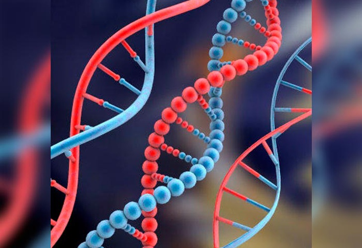 Estudio Revela Que Diferencias Genéticas Entre Humanos Son ínfimas