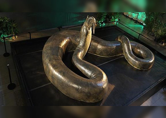 impresionante, la serpiente, prehistorica, 14 metros, gigantesca,