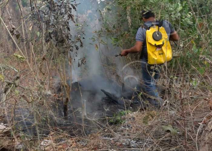 Incendios forestales en la Isla de Ometepe reducen a cenizas varias zonas boscosas 