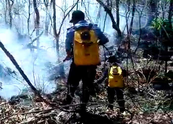Incendios forestales en la Isla de Ometepe reducen a cenizas varias zonas boscosas 