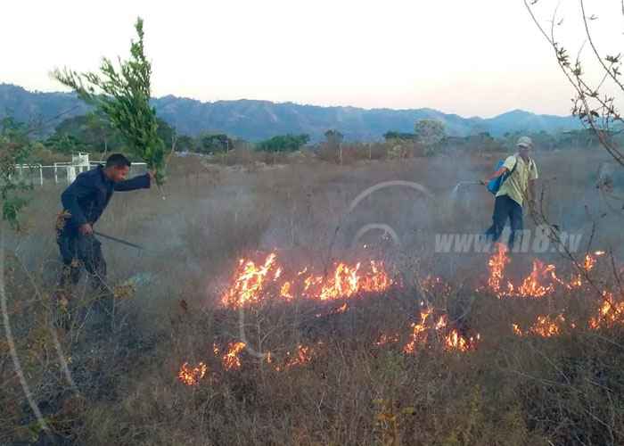Incendio en La Estancia, Jalapa Nueva Segovia