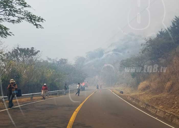 Fuerte incendio en la zona norte de Matagalpa, la fauna y la flora principales afectados. 