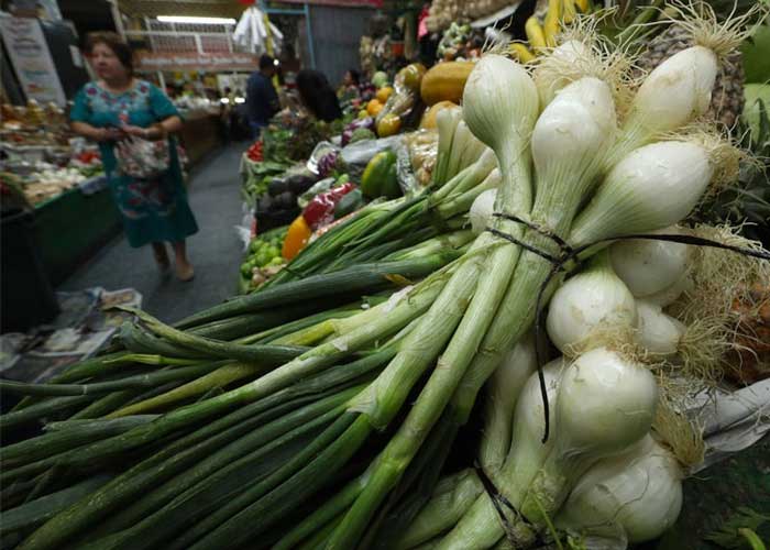 Precios de las verduras y hortalizas en los mercados de Nicaragua