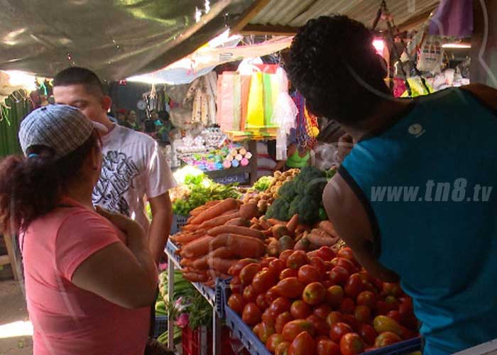 Precios de las verduras y hortalizas en los mercados de Nicaragua