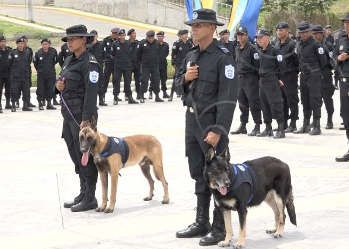 nicaragua, tecnica canina, curso, policia, seguridad, perros,