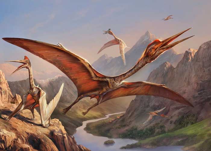 dinosaurios voladores, volador gigante, surcaba los cielos, huesos, quetzalcoatlus, crydrankon, alberta canada