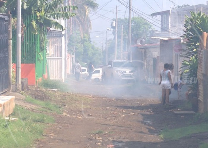 nicaragua, fumigacion, managua, barrio francisco salazar, salud, dengue,