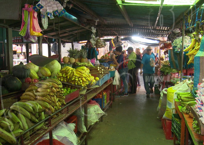 nicaragua, canasta basica, precios, cambios, mercados,