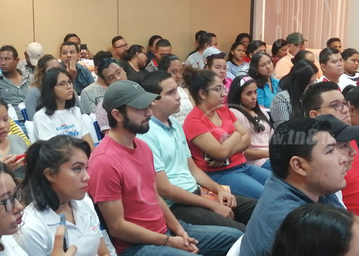 nicaragua, juventud sandinista, plan de trabajo, estrategia 2020, gobierno,