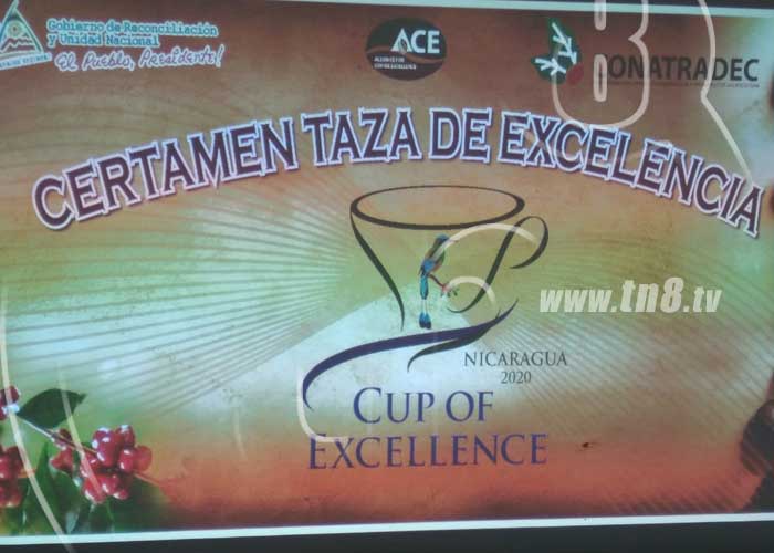 nicaragua, taza de la excelencia, cafe de nicaragua, concurso de cafe, mefcca, 