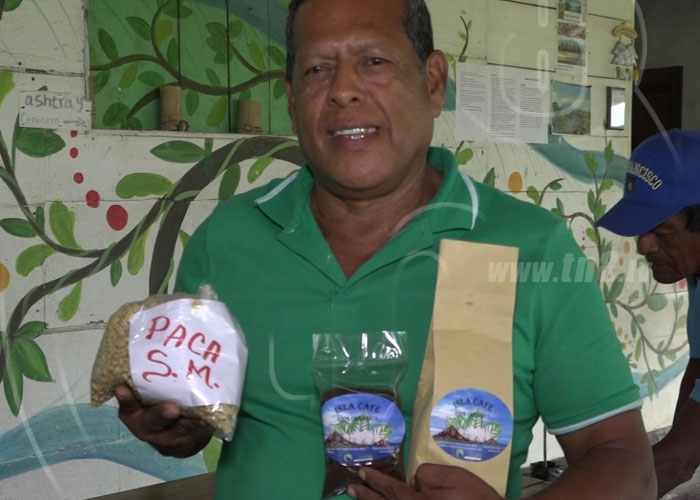 nicaragua, cafe, cultivo, isla de ometepe, altagracia, produccion,