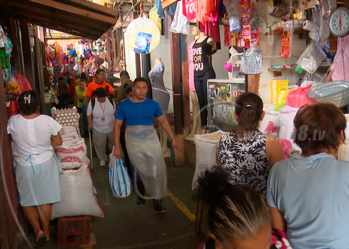 nicaragua, canasta basica, precios, mific, mercados de managua, 