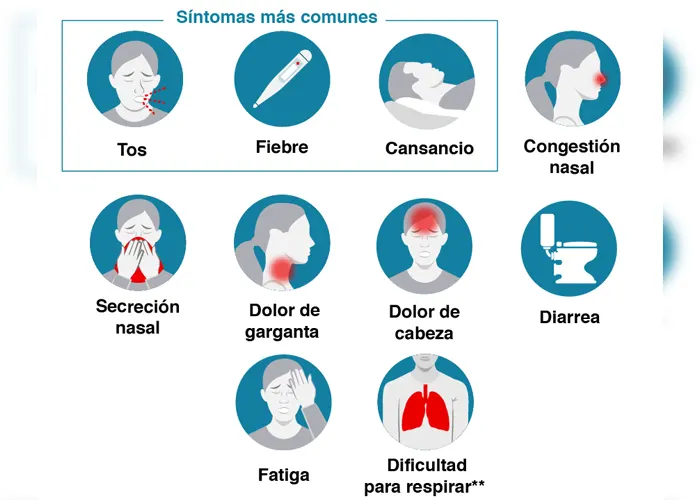 victima, salud, oms, coronavirus, perdida del olfato, perdida del gusto, sintomas