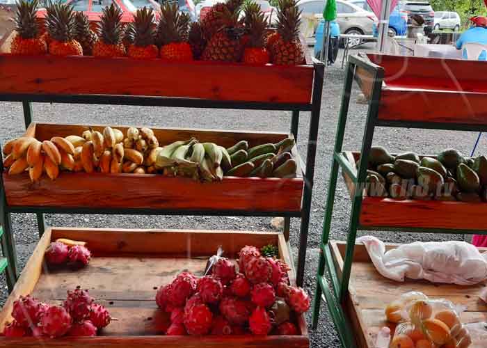nicaragua, mefcca, mercadito campesino, comercio, frutas, 