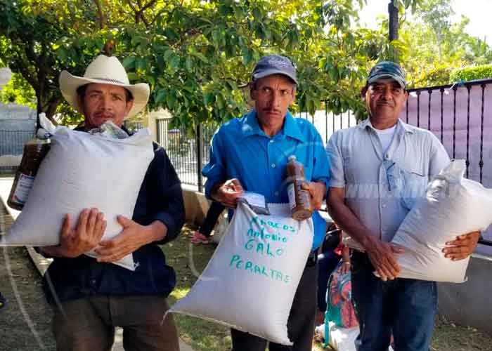 nicaragua, productores, corredor seco, onta, bonos tecnologicos, semilla, produccion, gobierno