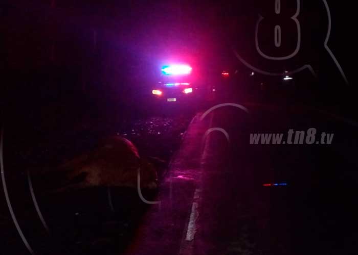 Foto: Motociclista pierde la vida al impactar con un semoviente en Rivas / TN8