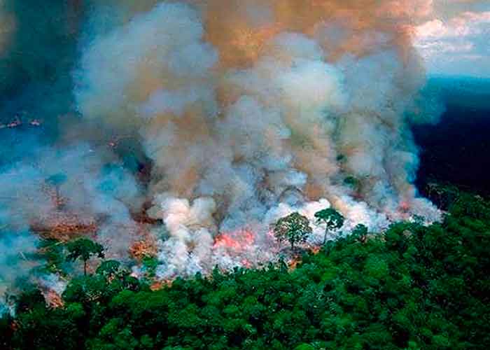 brasil, incendios forestales, gobierno, el pantanal, amazonia, deforestacion, ecosistemas, selva tropical