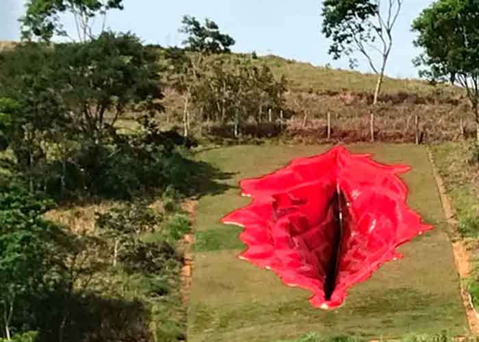 brasil, rio de janeiro, escultura rara, vagina gigante,