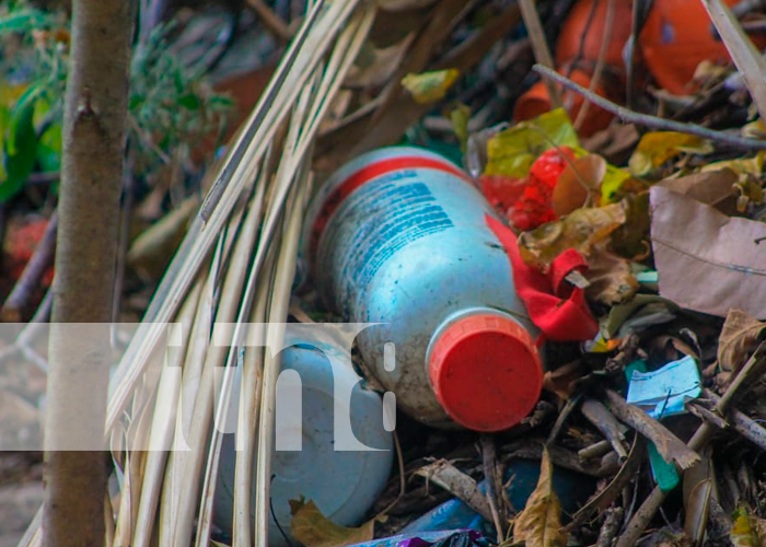 Foto: Realizan jornada contra basureros no autorizados para garantizar la salud/ TN8 