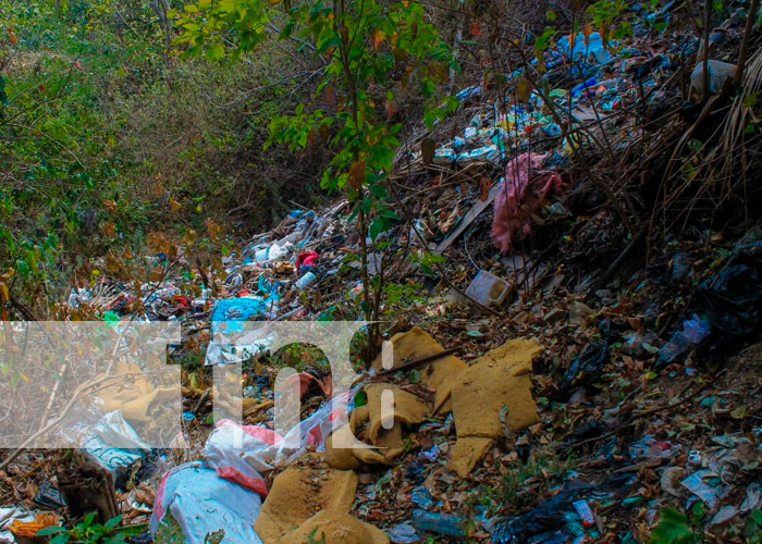 Foto: Realizan jornada contra basureros no autorizados para garantizar la salud/ TN8 