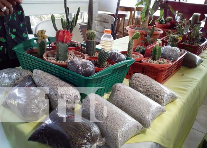 nicaragua, mefcca, charlas, abono, cosechas, 