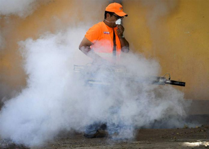 muertes por dengue