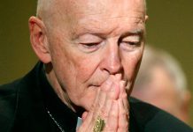 excardenal theodore mccarrick