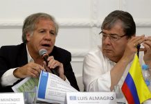 renuncia luis almagro