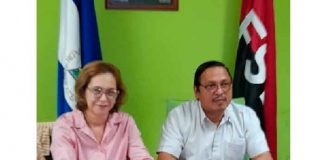 nicaragua, oms, reunion, grupo de trabajo, financiamiento sostenible,