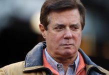 paul manafort