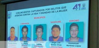 policia nacional, granada, delincuentes, capturas,