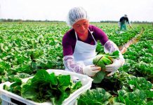 mujer agricultora