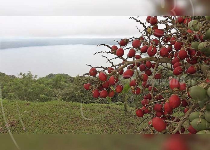 nicaragua