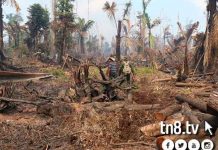 incendio forestal en reserva indio maiz