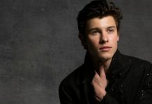 shawn mendes