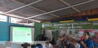 nicaragua, rivas, apicultura , agricultura, miel,