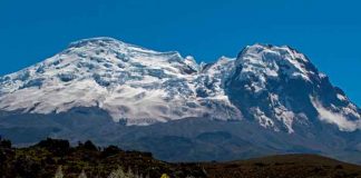 ciencia, descubrimiento, algas, nuevas especies, glaciares