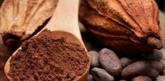 nicaragua, cacao, produccion nacional, exportaciones, crecimiento