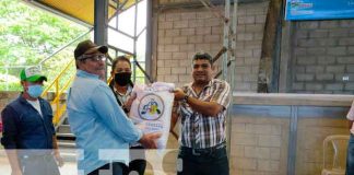 nicaragua, la Libertad, productores, semillas de frijol,