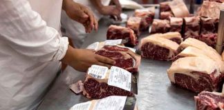 argentina, alza de precios, exportaciones, carne vacuna, restricciones,