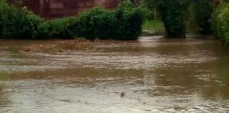 guatemala, livingston, inundaciones, afectaciones, familias, autoridades,