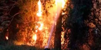 honduras, incendios forestales, manzanas, bosque, atlantida,