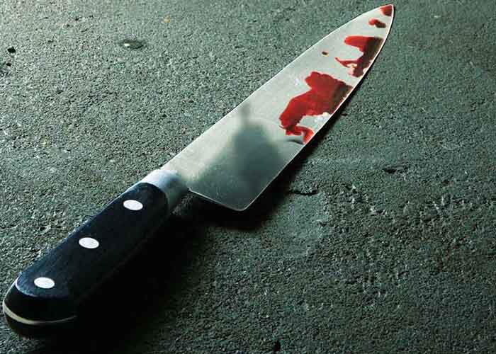 Joven argentino asesina a una familia con un cuchillo carnicero | TN8.tv  Nicaragua