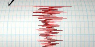 sumatra, terremoto, registro, fenomeno natural, informacion, autoridades,