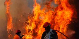 grecia, incendio forestal, bomberos, emergencia,