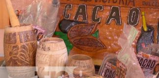 nicaragua, cacao, semilla, produccion, economia,