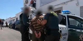 españa, arresto, asesinato, hermanos,